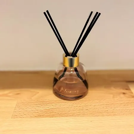 公寓 Le Refuge Urbain 鲁昂